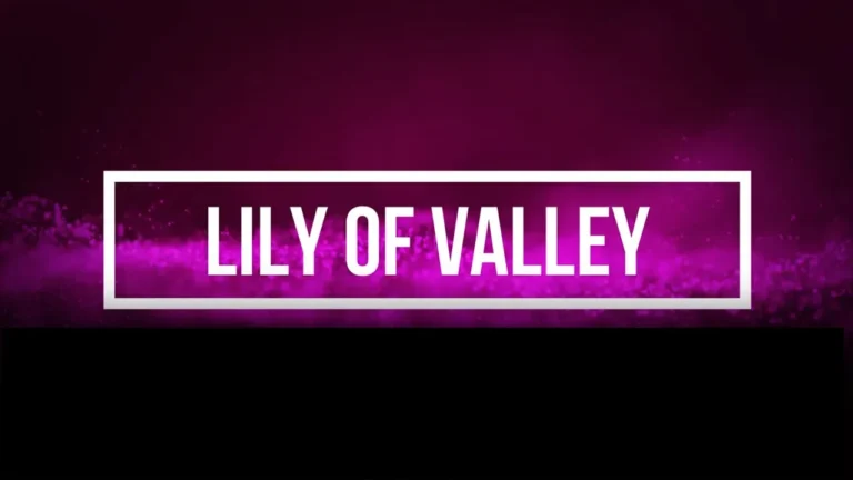 The Lilly of the Valley